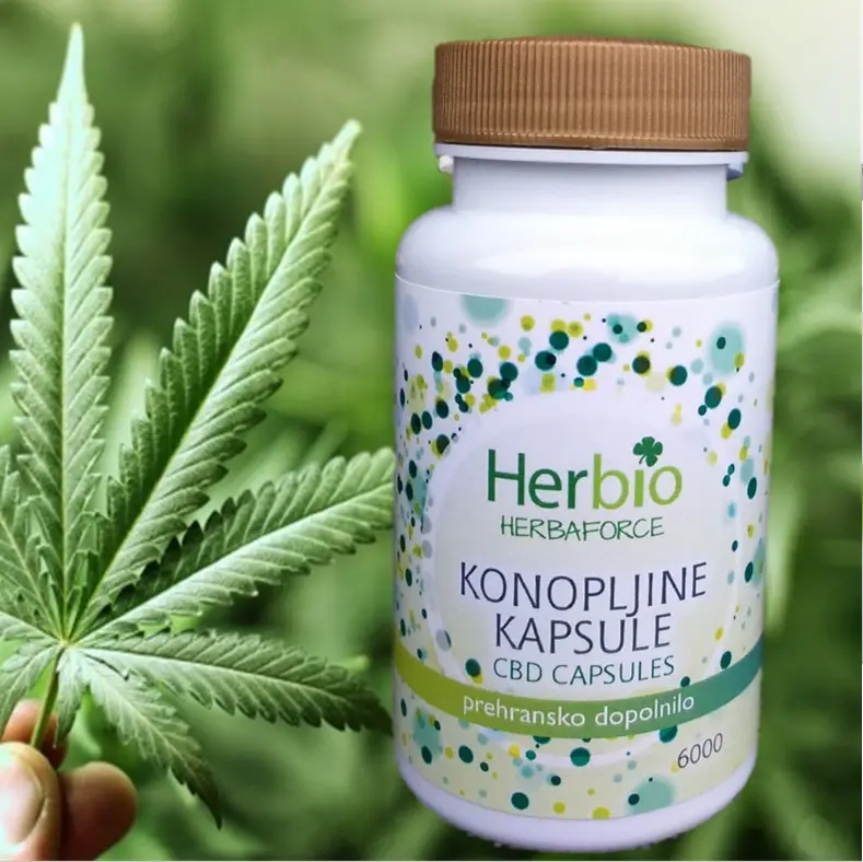626-Konopljine-kapsule.webp