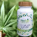 626-Konopljine-kapsule.webp